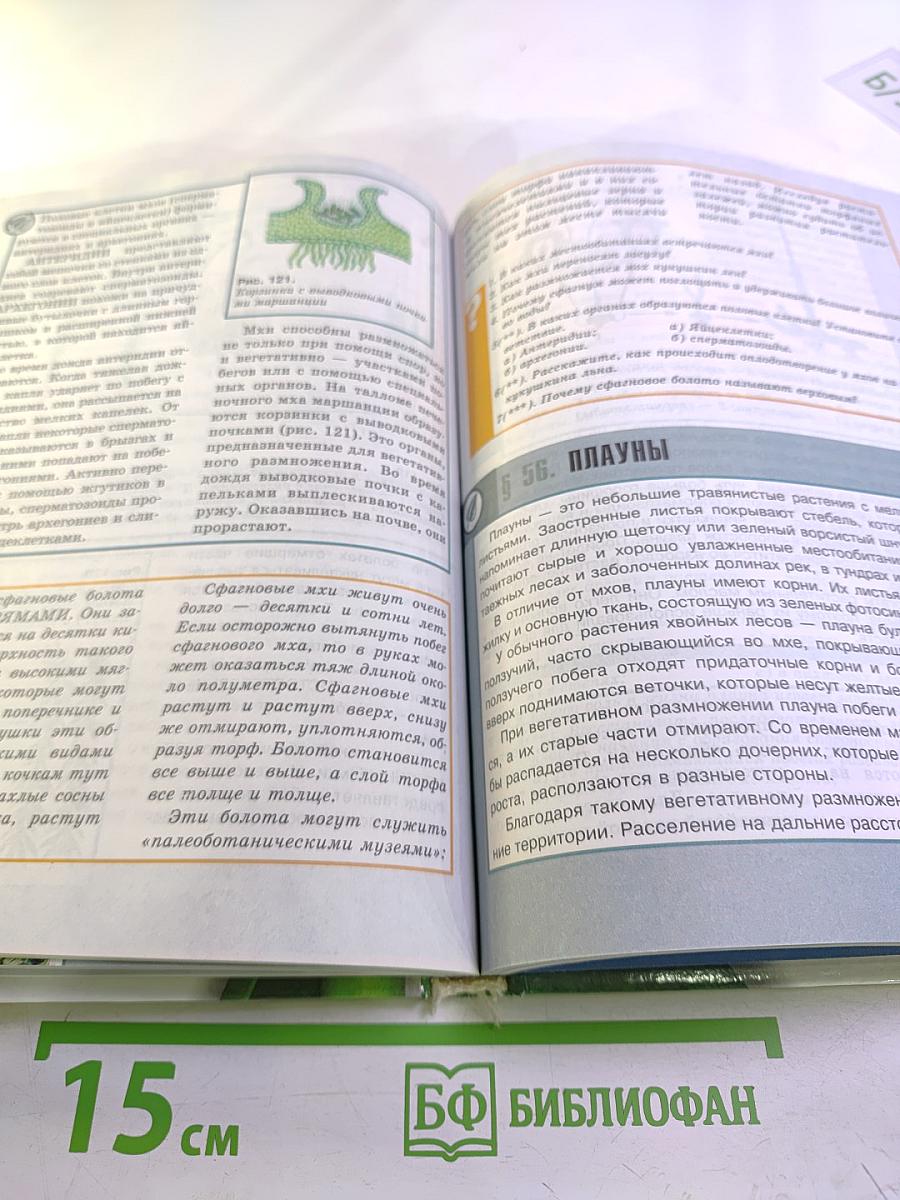 Биология. Растения, бактерии, грибы, лишайники. 6-7 класс