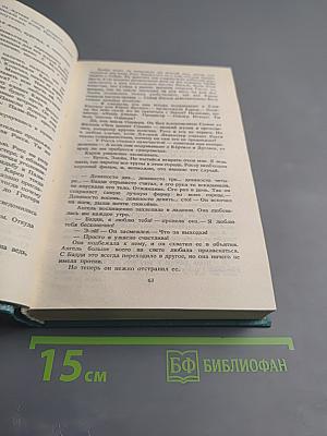 Голливудские жены