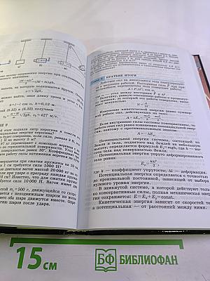 Физика. 10 класс