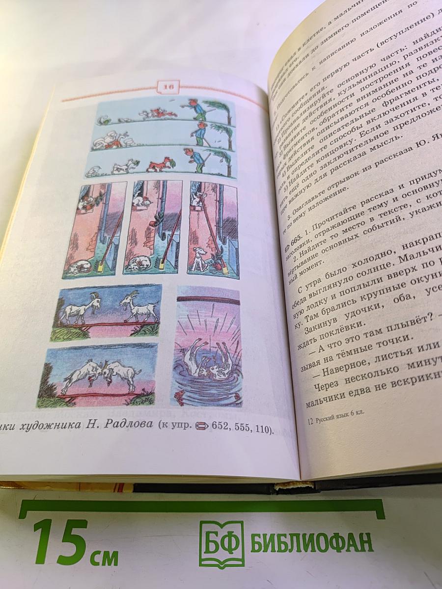 Русский язык 6 класс