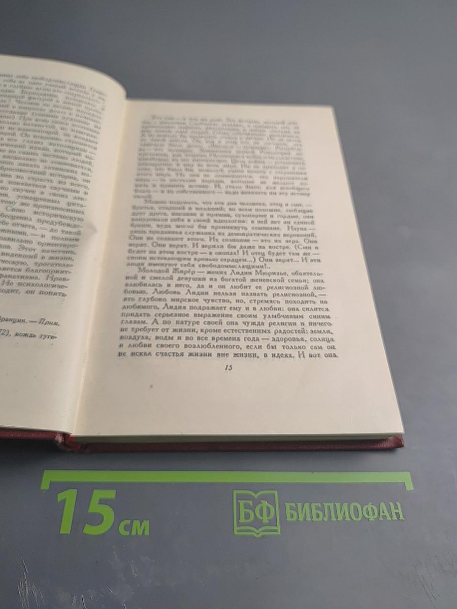 Очарованная душа. Том второй: Мать и сын