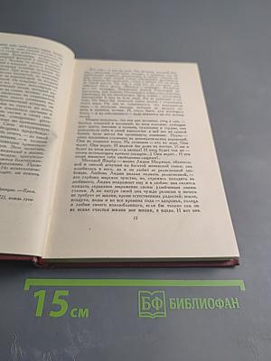 Очарованная душа. Том второй: Мать и сын