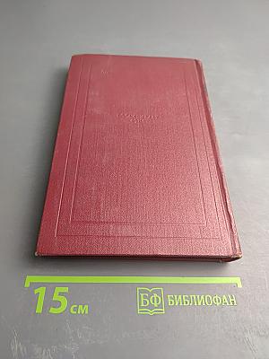 Очарованная душа. Том второй: Мать и сын