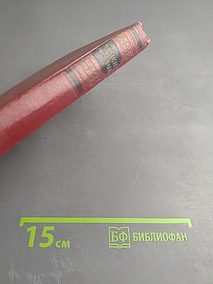 Очарованная душа. Том второй: Мать и сын