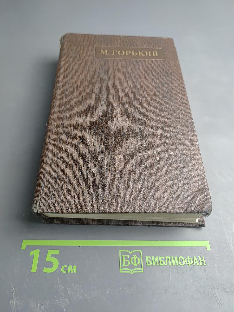 Полное собрание сочинений. Том семнадцатый: Заметки из дневника. Воспоминания. Рассказы 1922-1924 годов