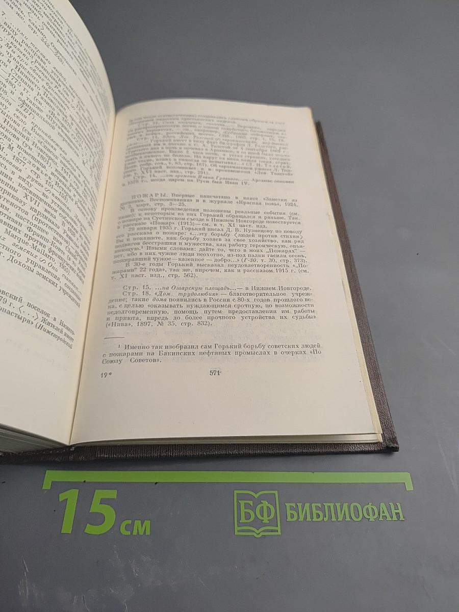 Полное собрание сочинений. Том семнадцатый: Заметки из дневника. Воспоминания. Рассказы 1922-1924 годов