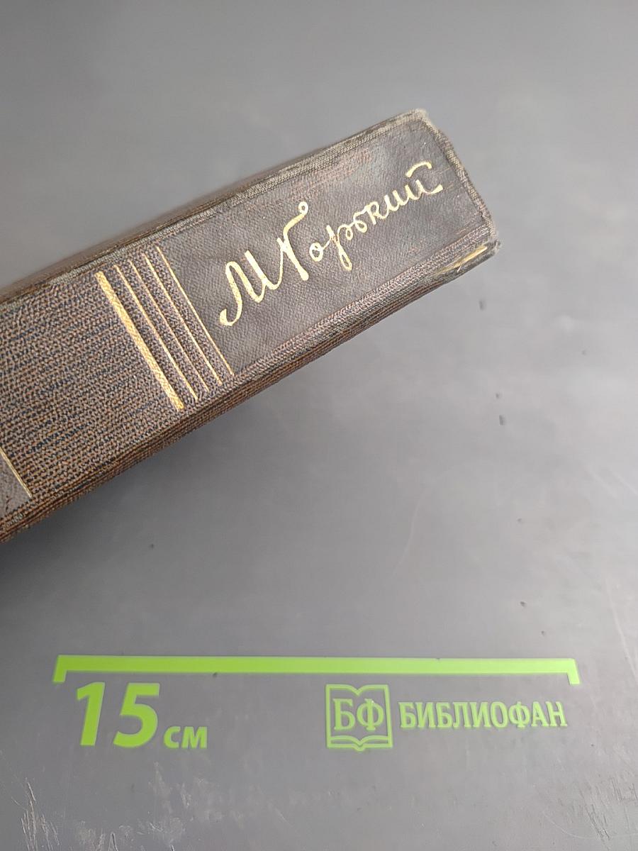 Полное собрание сочинений. Том семнадцатый: Заметки из дневника. Воспоминания. Рассказы 1922-1924 годов