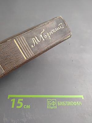 Полное собрание сочинений. Том семнадцатый: Заметки из дневника. Воспоминания. Рассказы 1922-1924 годов