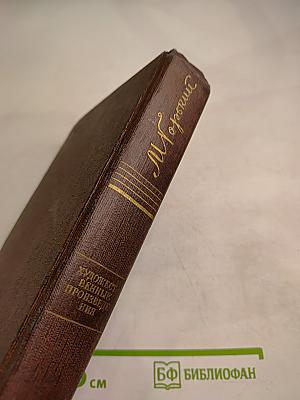 Художественные произведения. Том шестой: Рассказы, очерки, наброски, стихотворения 1901-1907