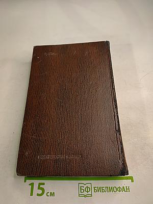 Повести. Наброски. 1910-1915. Том пятнадцатый