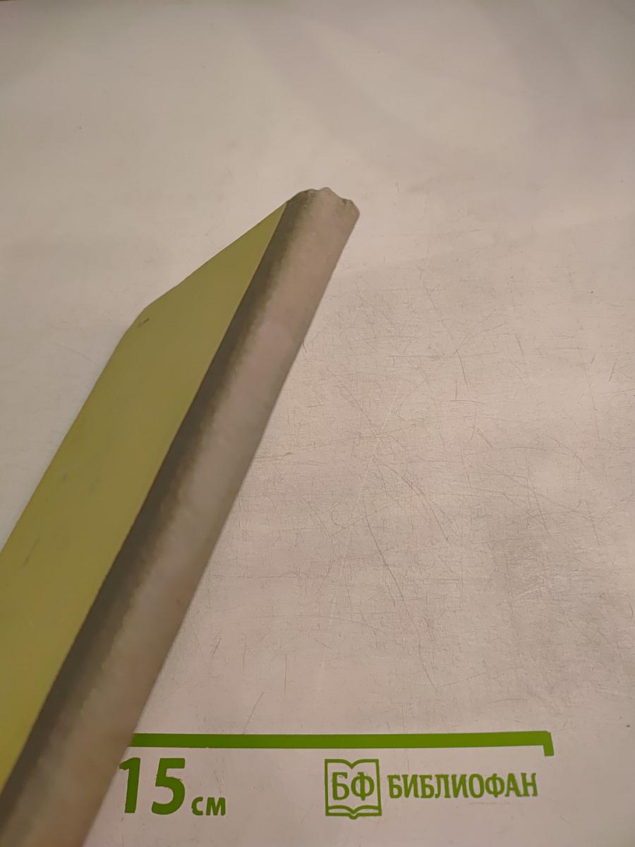 Ф. И. Шаляпин в Казани