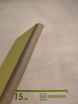 Ф. И. Шаляпин в Казани