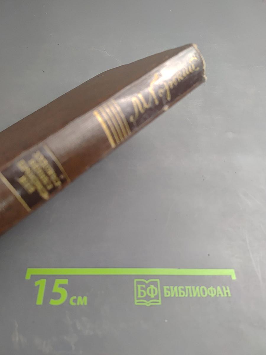 Жизнь Клима Самгина. Том двадцать третий