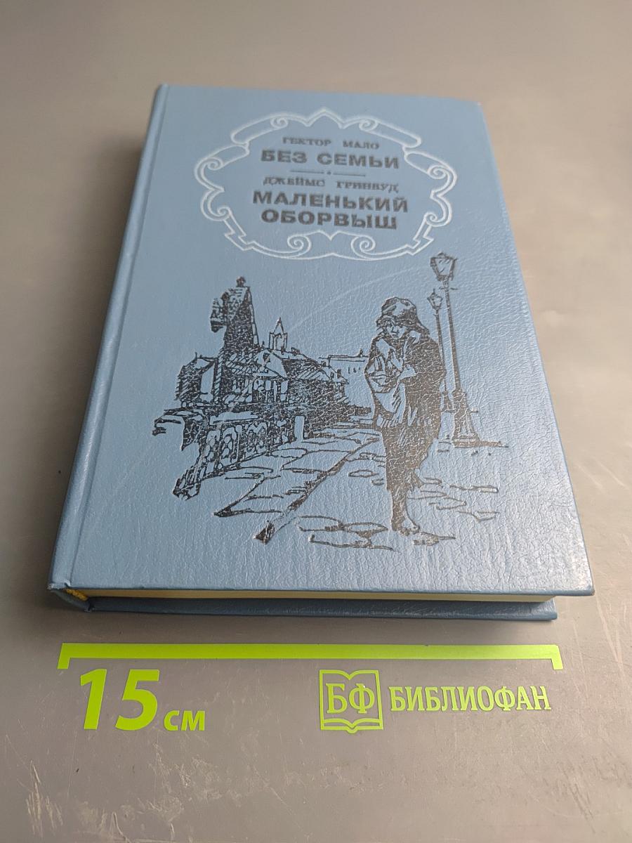 Без семьи. Маленький оборвыш