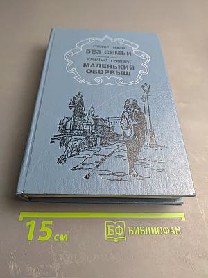 Без семьи. Маленький оборвыш