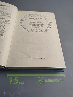 Без семьи. Маленький оборвыш