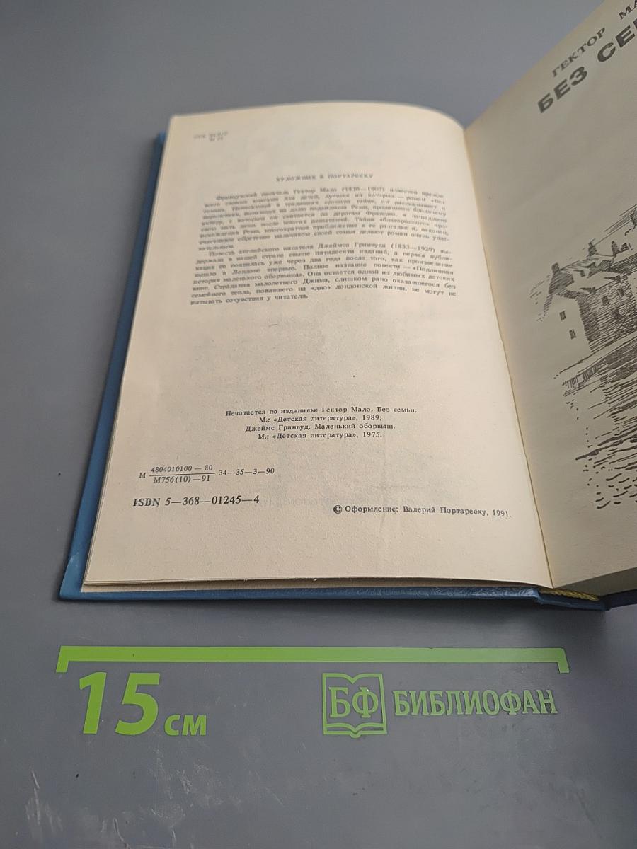 Без семьи. Маленький оборвыш