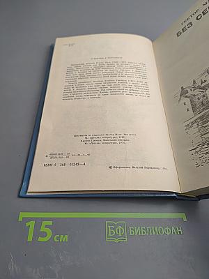 Без семьи. Маленький оборвыш