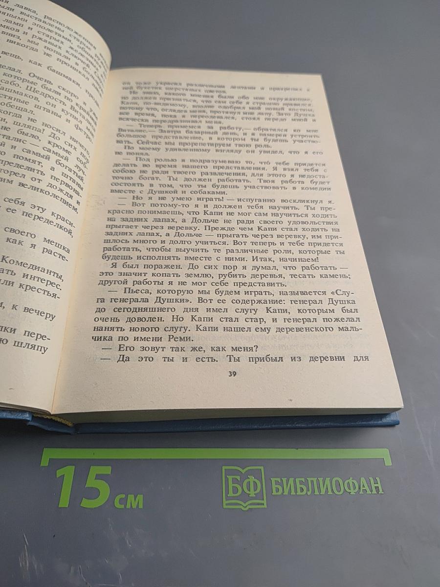 Без семьи. Маленький оборвыш