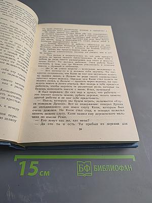 Без семьи. Маленький оборвыш