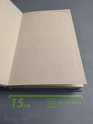 Без семьи. Маленький оборвыш