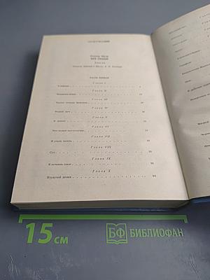 Без семьи. Маленький оборвыш