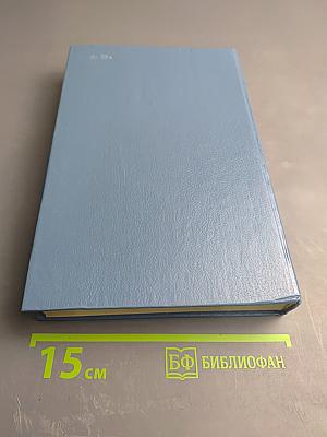 Без семьи. Маленький оборвыш