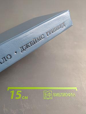 Без семьи. Маленький оборвыш