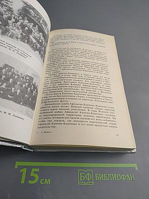 Максим Максимович Литвинов: Революционер, дипломат, человек