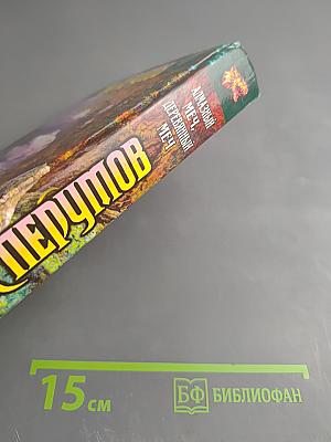 Алмазный Меч, Деревянный Меч. Книга Первая