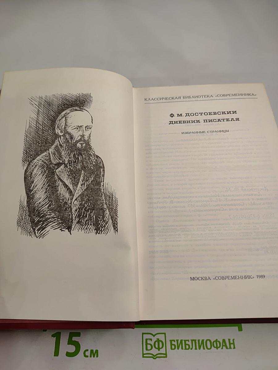 Дневник писателя: Избранные страницы