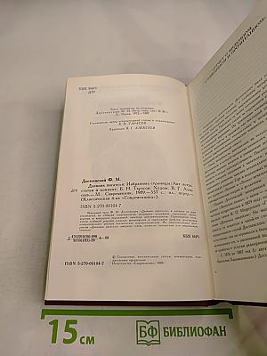 Дневник писателя: Избранные страницы