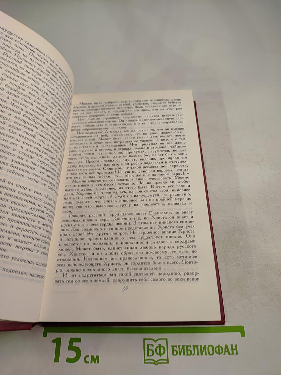 Дневник писателя: Избранные страницы