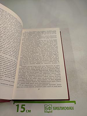 Дневник писателя: Избранные страницы