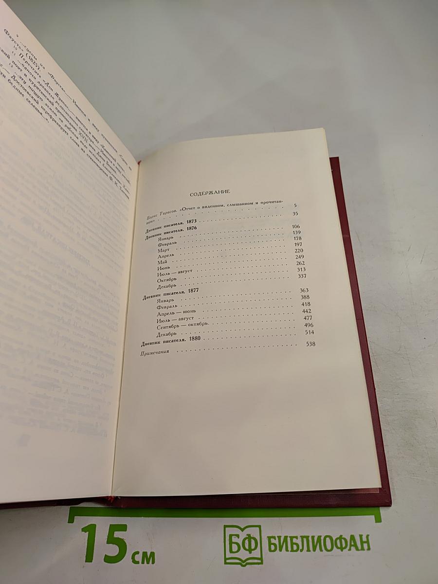 Дневник писателя: Избранные страницы