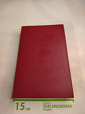 Дневник писателя: Избранные страницы