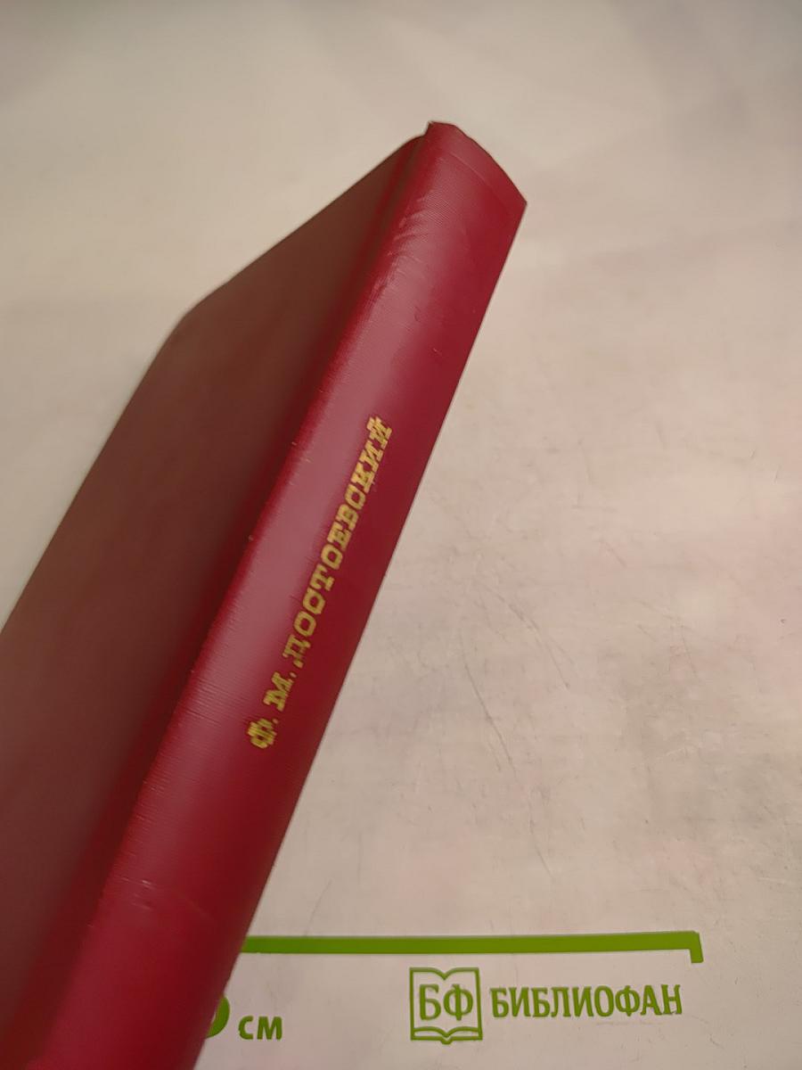 Дневник писателя: Избранные страницы