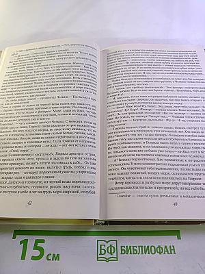 Литература. Начальный курс. Учебник-хрестоматия. 8 класс. Часть 2