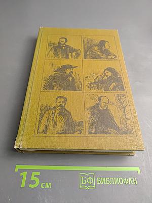 Рыцари Истины. Портреты французских писателей