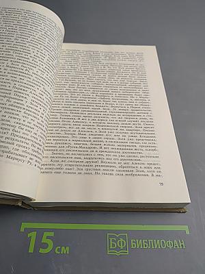 Рыцари Истины. Портреты французских писателей