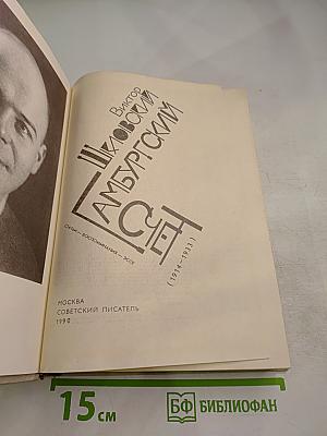Гамбургский счет. Статьи – воспоминания – эссе (1914-1933)