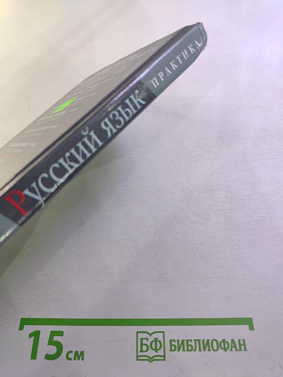 Русский язык. Практика. 9 класс