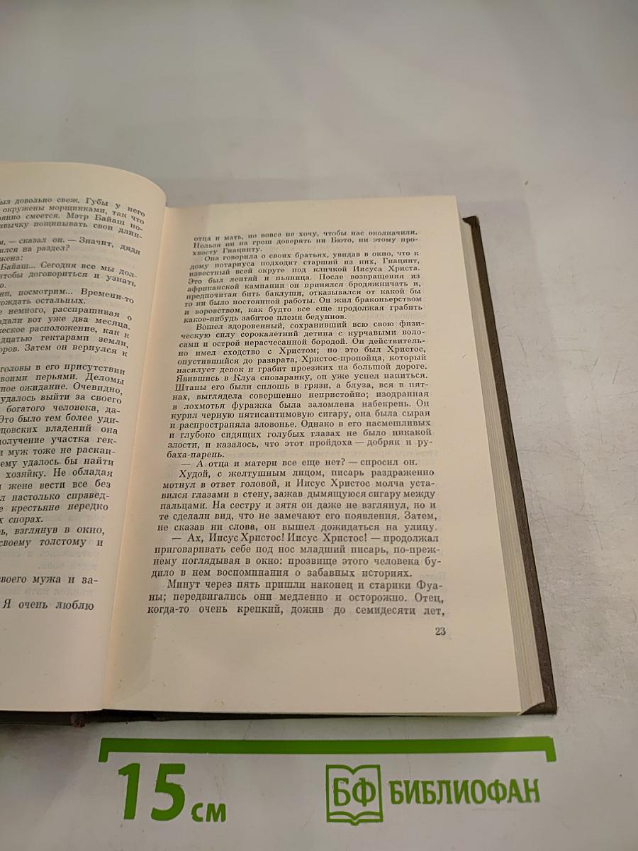 Собрание сочинений. Том двенадцатый. Земля