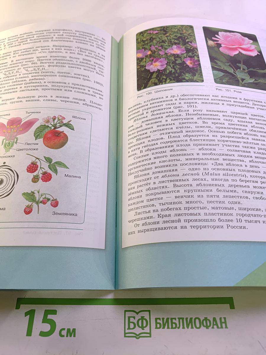 Биология 6 класс