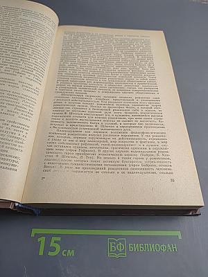 История зарубежной литературы XIX века. Часть первая