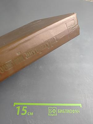 История зарубежной литературы XIX века. Часть первая