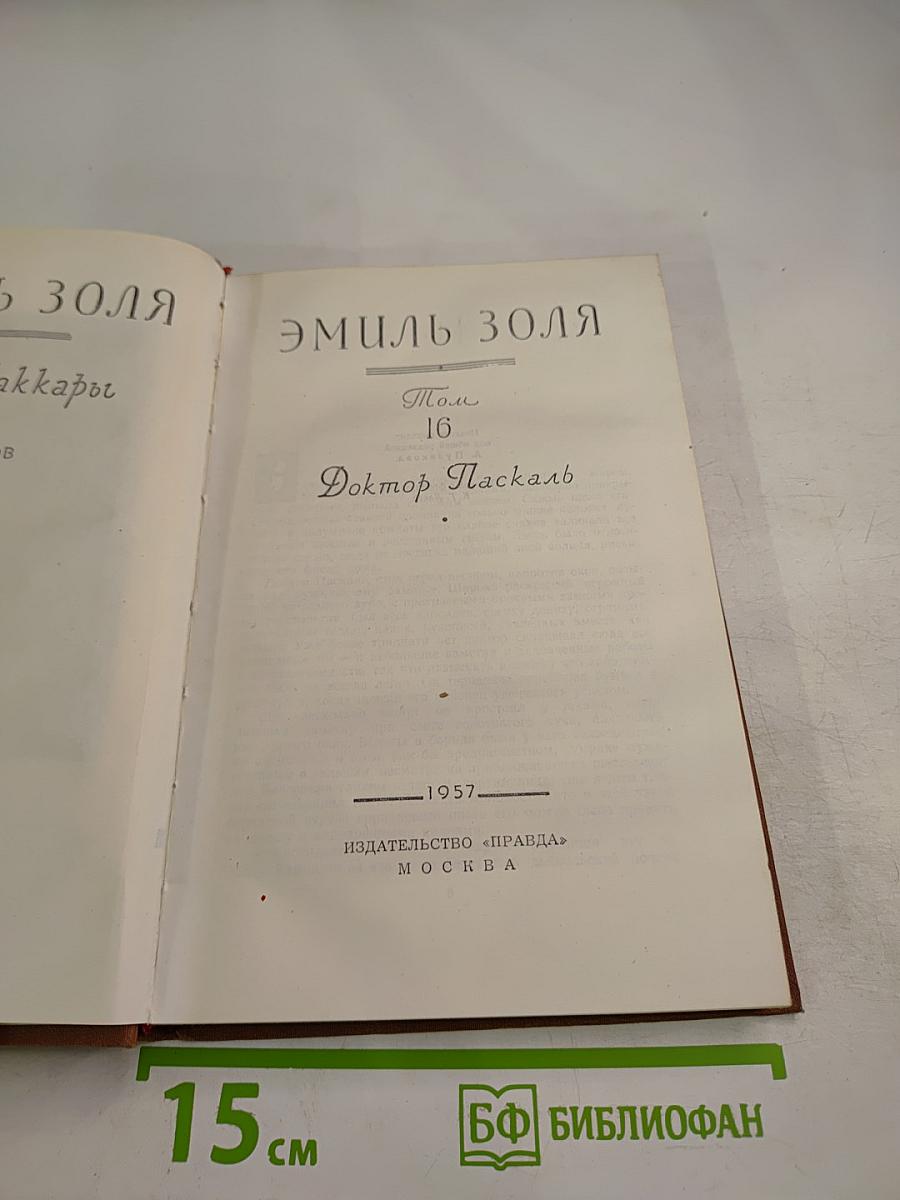 Доктор Паскаль. Том 16