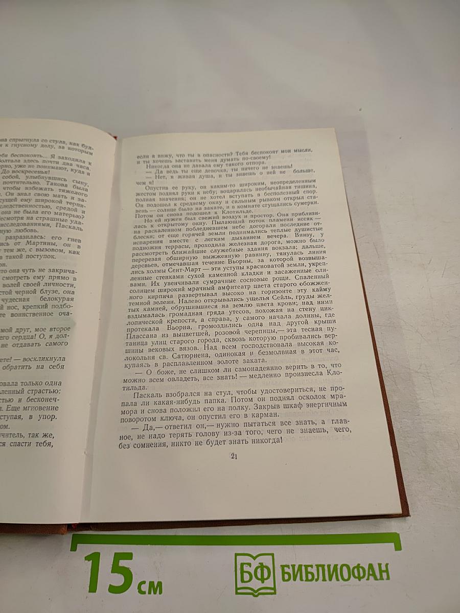 Доктор Паскаль. Том 16