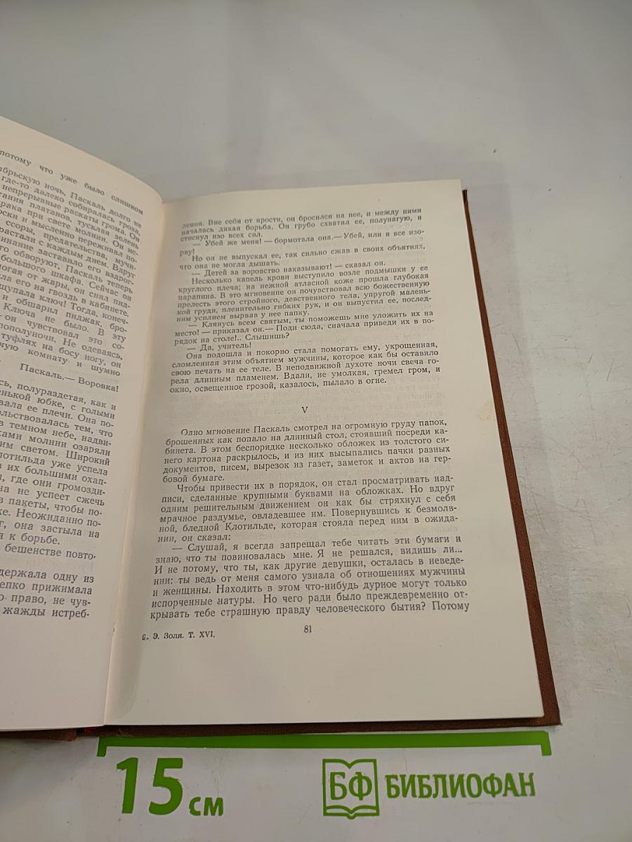 Доктор Паскаль. Том 16