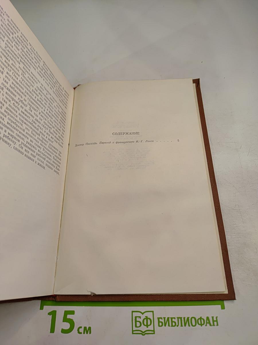 Доктор Паскаль. Том 16